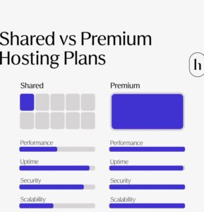 Hoyden Shared Vs Premium Website Hosting