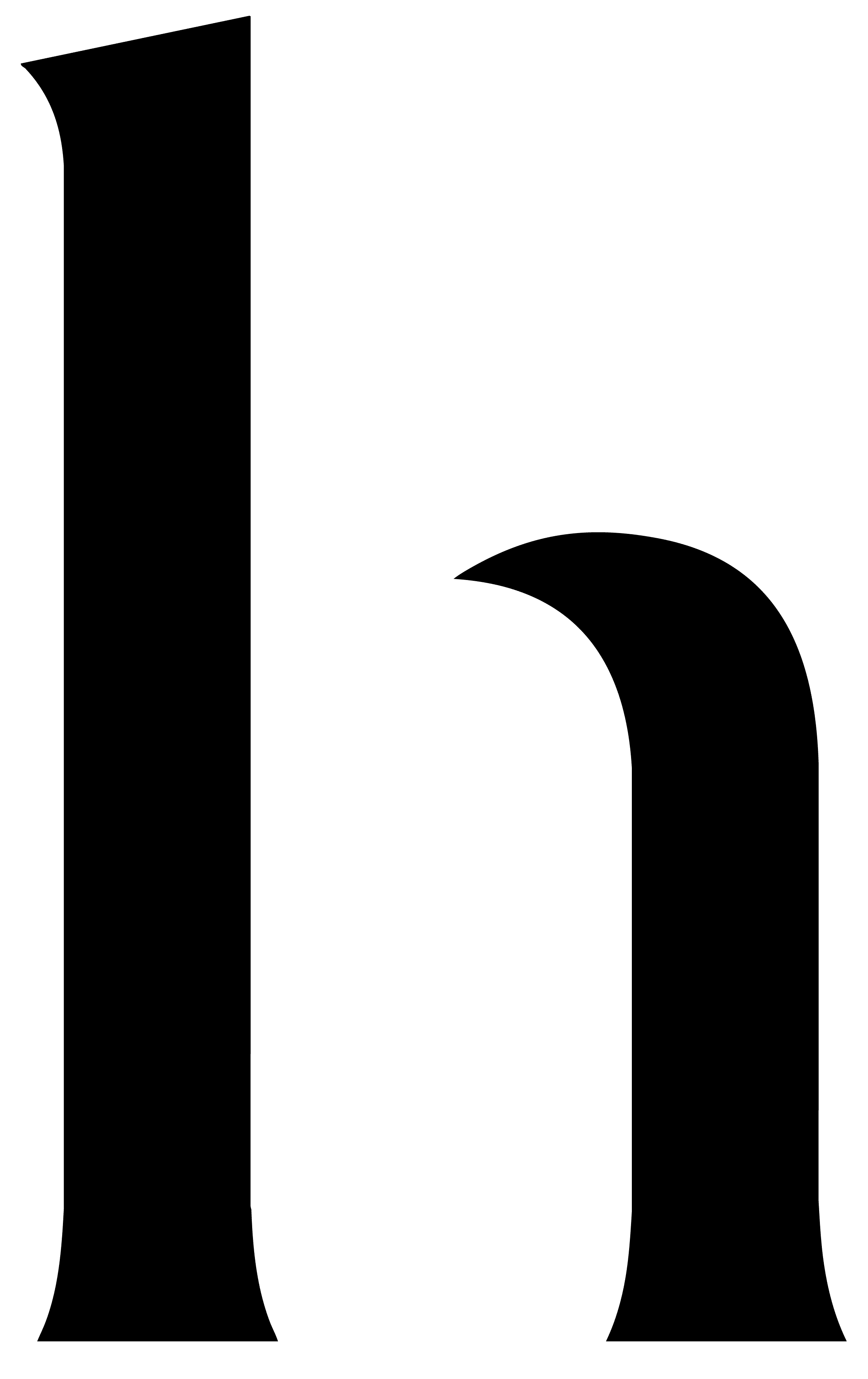 Hoyden Logo H Black