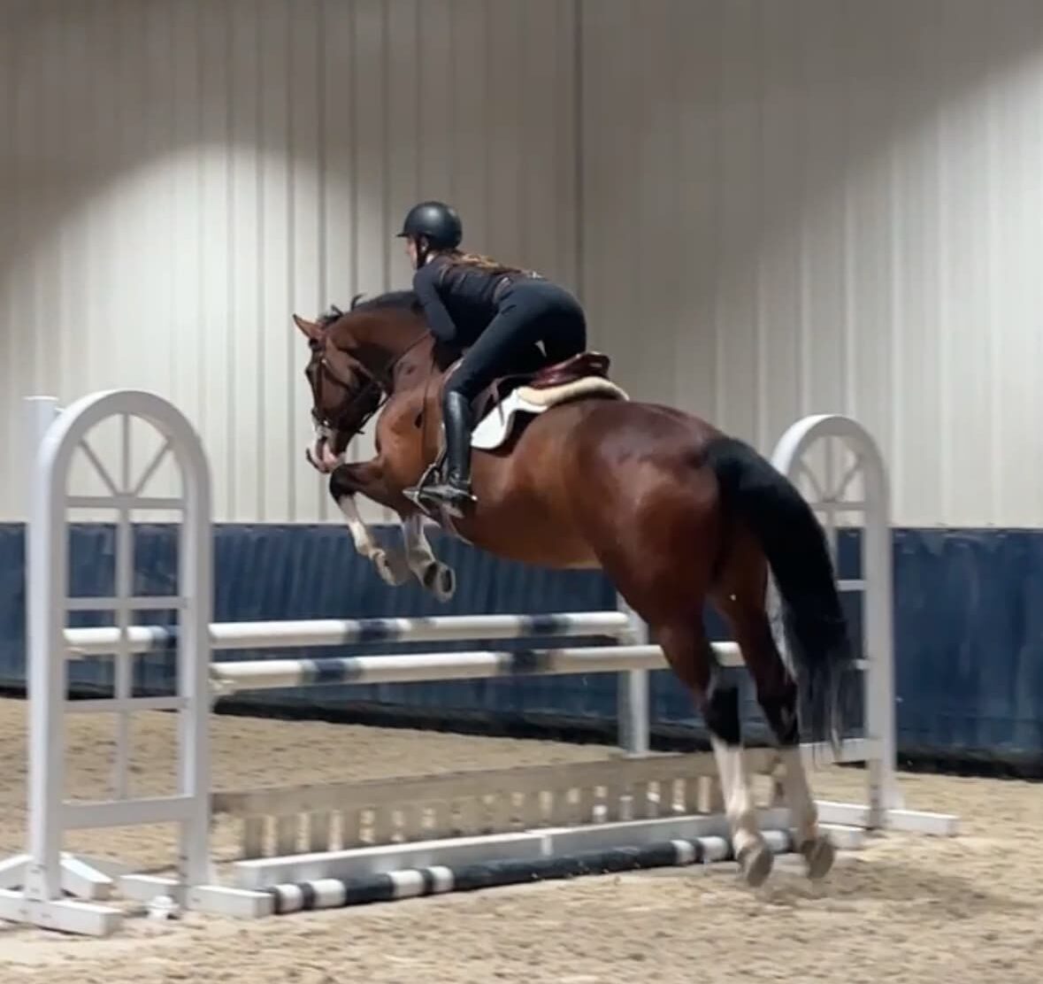 Woman riding horse indoors
